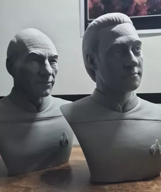 Star Trek TNG set of two busts Captain Picard & Commander Data LARGE 7 Inch 2