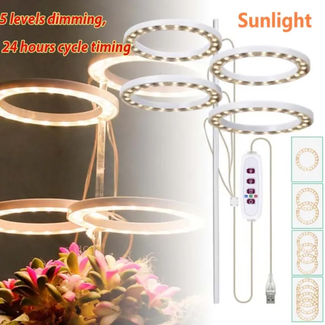 LED Plant Halo Light USB Ring Grow Light Lamp Angel Phytolamp Indoor Plant AU