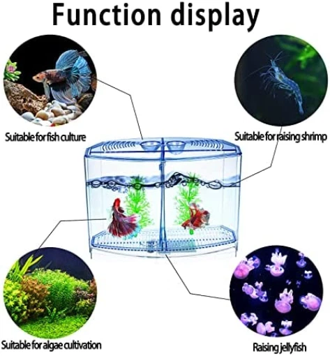 Betta Fish Tank - Mini Betta Bowl Kit Small Aquarium with Divider - 2/5 Gallon - 11