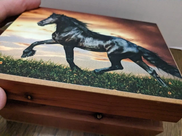 Cedar Box Black HORSE Poetry In Motion Jewelry Vanity Trinket Wood 6 X 4 Inch
