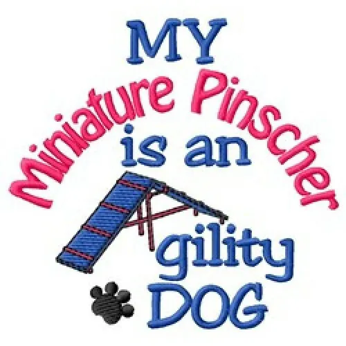 My Miniature Pinscher is An Agility Dog Ladies T-Shirt - DC2014L Size S - XXL