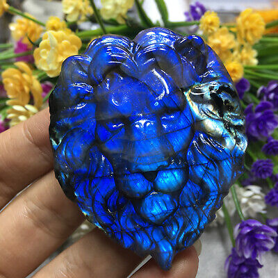 Natural Labradorite Hand Carved The Lion Skull Quartz Crystal Reiki Healing 1PC