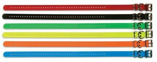 SportDog 3/4 Inch replacement strap for SportDog Remote Training Collars