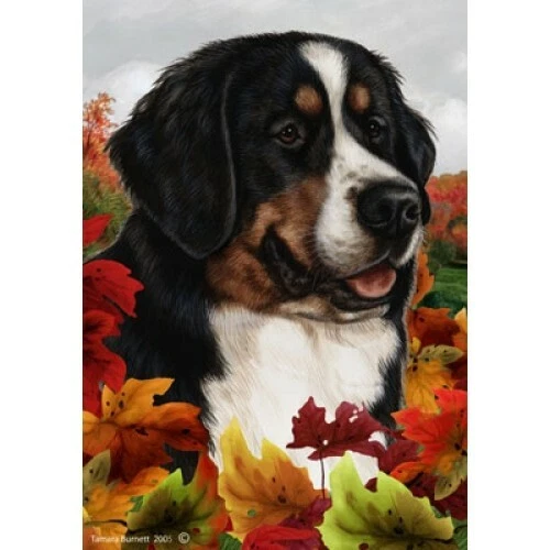 Fall Garden Flag (TB) - Bernese Mountain Dog 130511