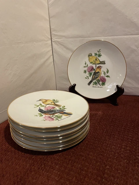 Set of 8 Bareuther Waldsassen Bavaria Germany Bird Plates, Gold Rim EUC