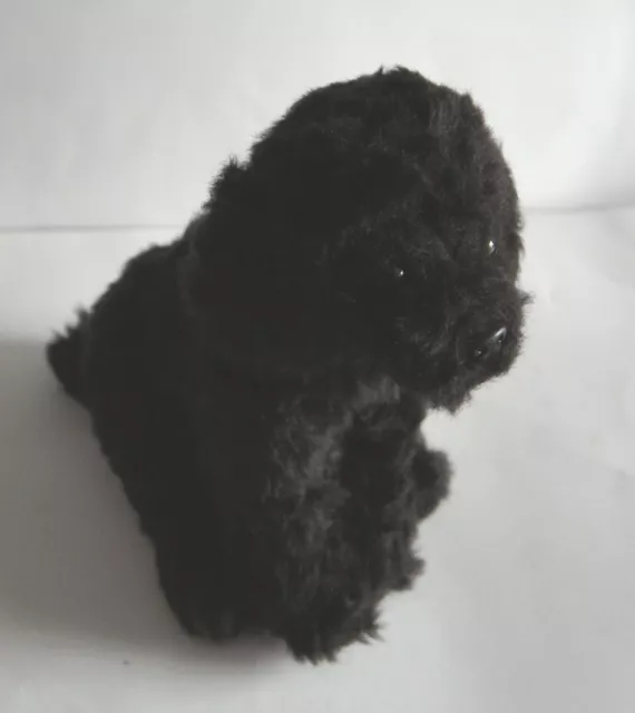Black Labradoodle , personalised or not 3 options to choose from