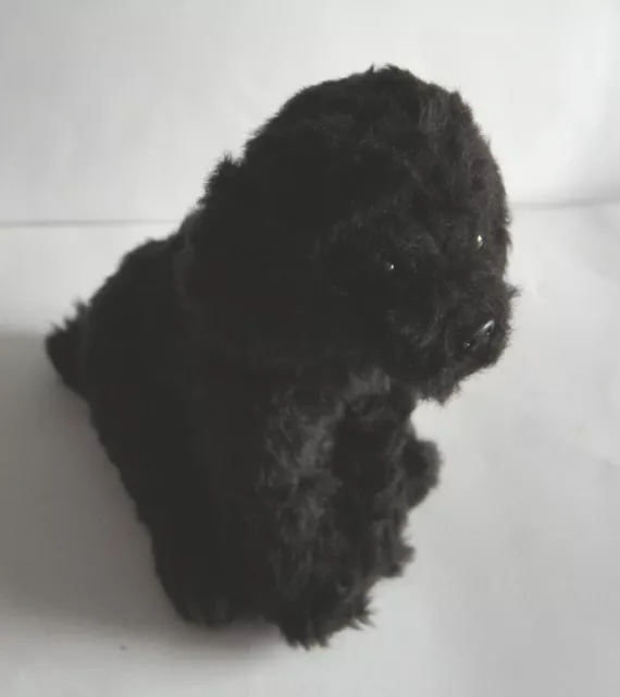 Black Shih Tzu x Poodle/Bichon , personalised or not 3 options to choose from