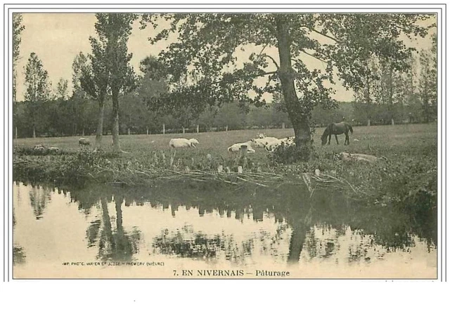 58.En Nivernais.paturage