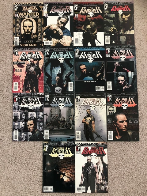 PUNISHER (KNIGHTS VOL. 4)- TWENTY-FIVE (25) Issue Lot- #8, 10, 13, 14, 22, 23+