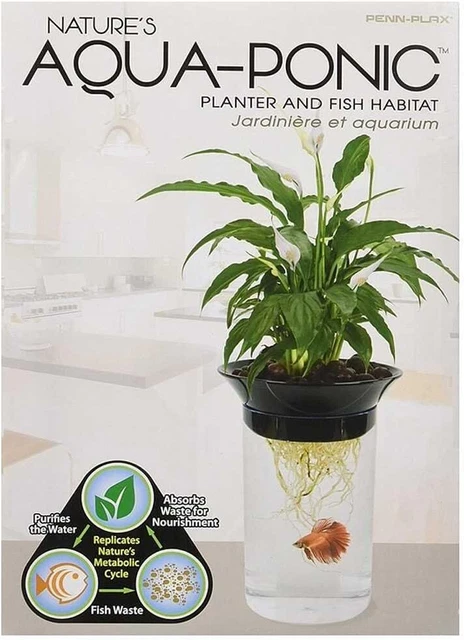Penn-Plax Aquaponic Planter and Aquarium for Betta Fish Tank Promotes Healthy Hy 3