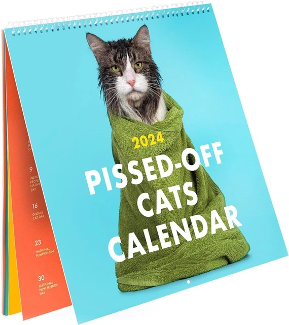 2024 PISSEDOFF CATS Calendar / Funny Cat Wall Calendar 10.99 PicClick