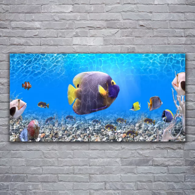 Photo sur toile Tableau Image Impression 120x60 Nature Poissons