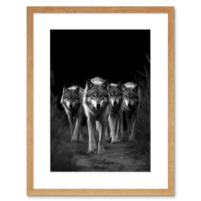 Eine Packung Wölfe wildes Tier schwarz-weiß Foto gerahmt Wandkunst Bild 9X7"