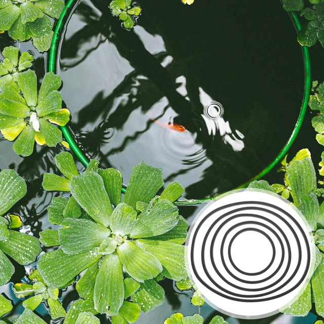 5 Anelli Galleggianti Per Acquario - In Schiuma EVA - Per Piante E Alimentazione Pesci - Nero - Foto 8