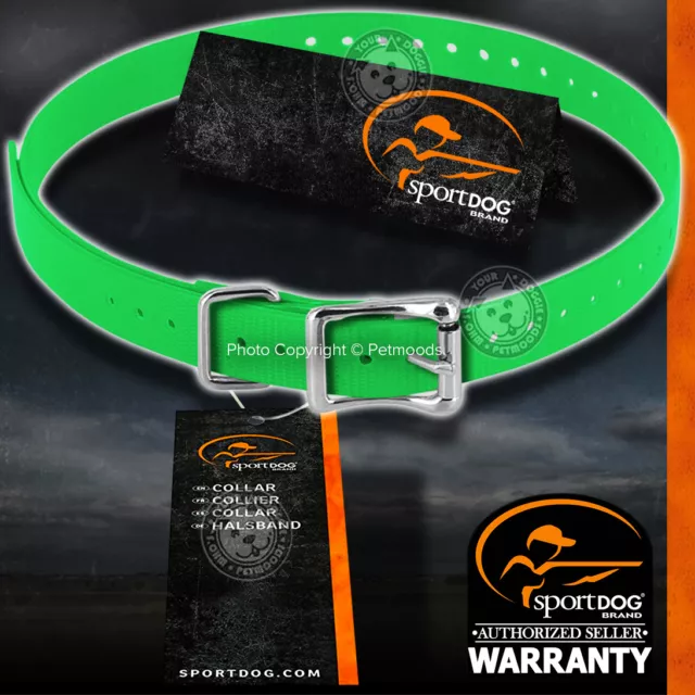 SportDOG SAC00-10813 Genuine 1-inch Replacement Dog Collar Strap Green Color
