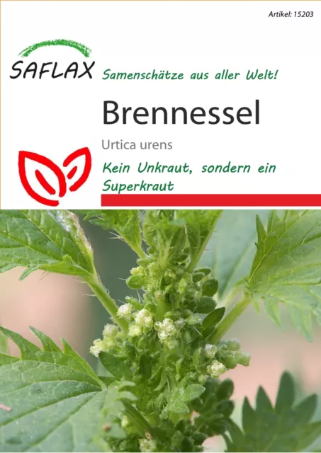 Saflax 15203 Brennessel (Brennesselsamen)