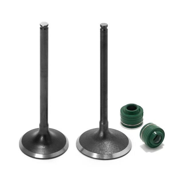 Soupapes d'échappement d'admission & Joints pr Honda TRX450 TRX 450 06-09 12-14