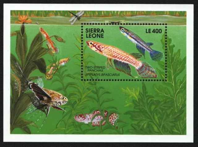 Sierra Leone 1991 - Mi-Nr. Block 165 ** - MNH - Fische / Fish