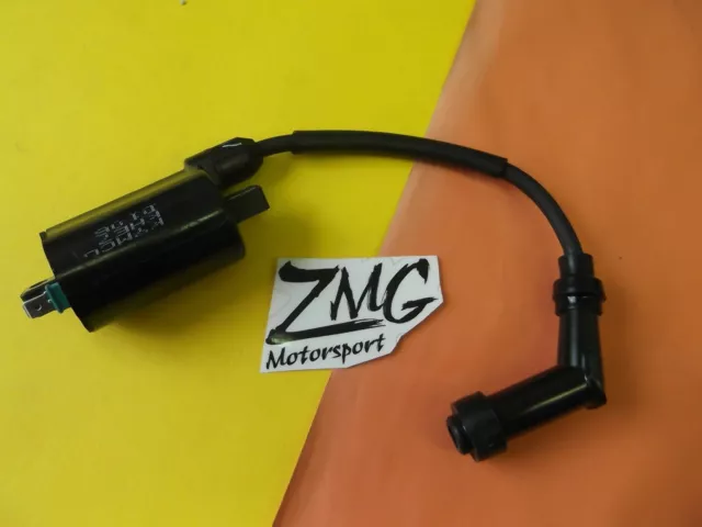 Bobine D'Allumage KXR250 Kxr MXU300 MXU250 Maxxer Maxxer300 MXU Kymco Quad
