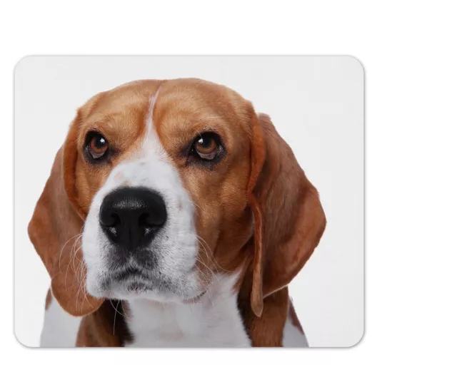 Mauspad/Mouse Pad Textil Kautschuk |  22 x 18 cm | Motiv: Hund Beagle 02