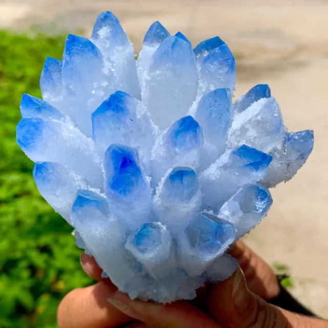 477G New Find Blue Phantom Quartz Crystal Cluster Mineral Specimen Healing
