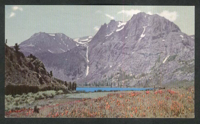Indian Paint Brush Gull Lake CA Union 76 Oil Company postcard 1939