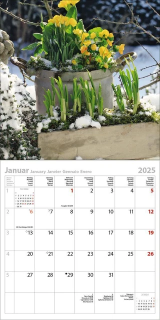 GARTENTRÄUME 2025 | Verlag Korsch | Kalender | 13 S. | Deutsch | 2025