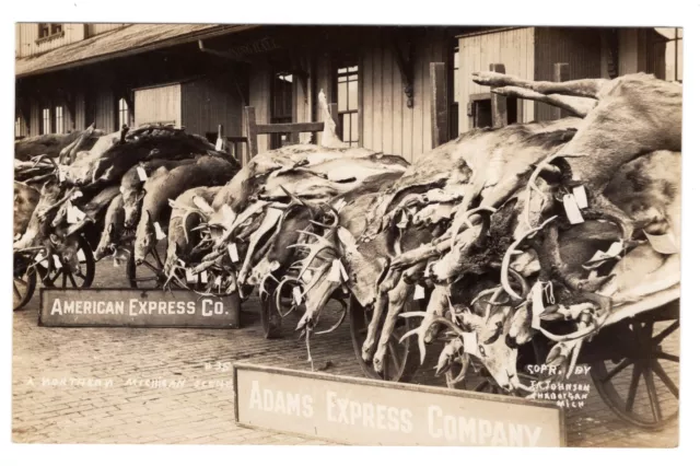 Cheboygan MI American & Adams Express Co Deer RPPC Real Photo Postcard