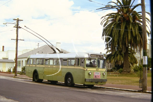 1970 Orig Slide Auckland New Zealand Trolley Bus  39 Point Chevalier
