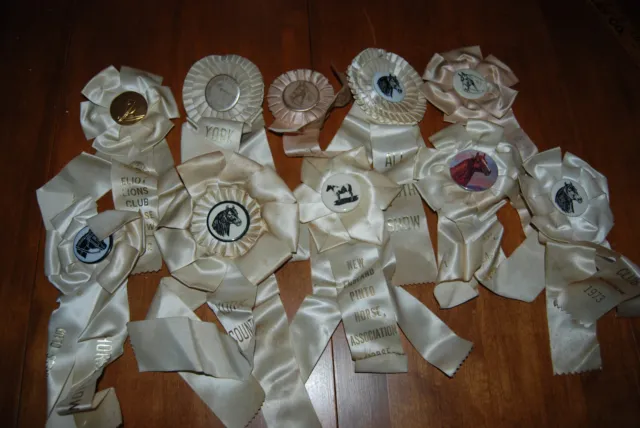 10 Equestrian Horse Show Ribbons - Maine 1970s Lot #6 - AS IS