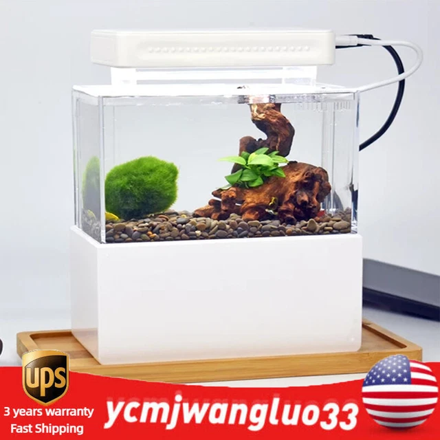 Mini Fish Tank Kit Desktop Aquarium with Water Filtration LED & Quiet Air Pump