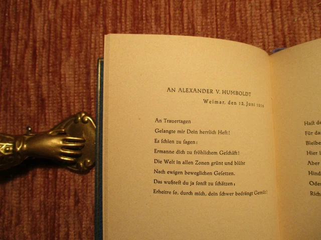 GOETHE Pressendruck JUNIPERUS PRESSE 1924 Leder Handeinband MEISTEREINBAND 10