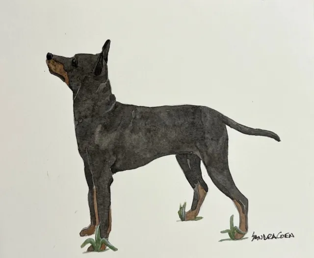 Toy Manchester Terrier Original Watercolor Painting Trotting Dog By Sandra Coen