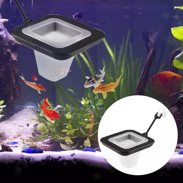 Aquarium  Tank Red Worm Feeder Floating  Feeding Tools Anneau