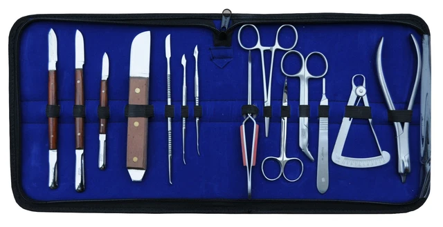 Set Point Strumenti SET STRUMENTI SET Base Cera Incisioni Modellazione Set 14 pezzi - H315 ...