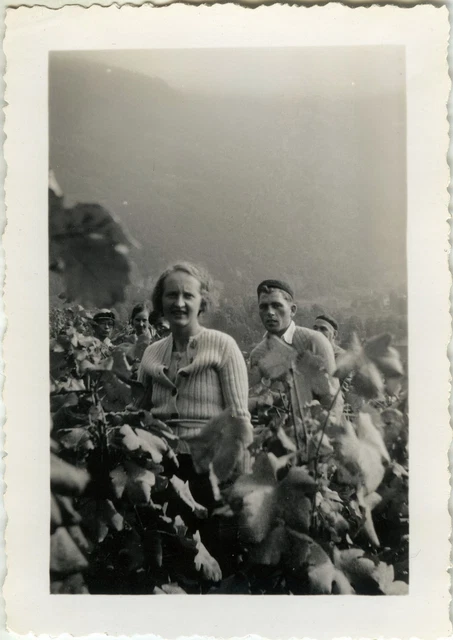 Photo Ancienne - Vintage Snapshot - Vendanges Champs Drôle - Grape Harvest Funny