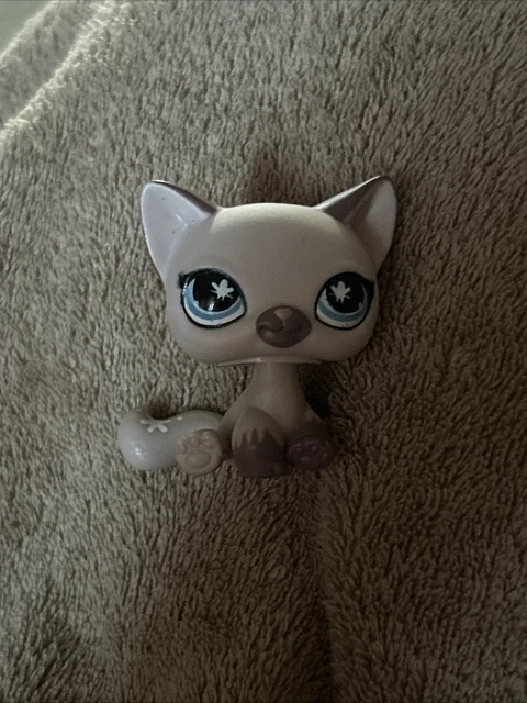 Littlest Pet Shop #1726 Chat Angora Poils Longs - Hasbro Original (occasion)