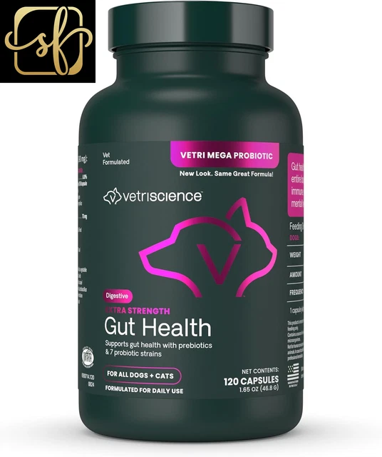 EXTRA STRENGTH GUT Health Probiotic & Prebiotic Digestive Supplements ...