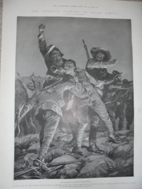 South Africa Boer War the gallant bugler of Fort Italia RC Woodville 1901 print