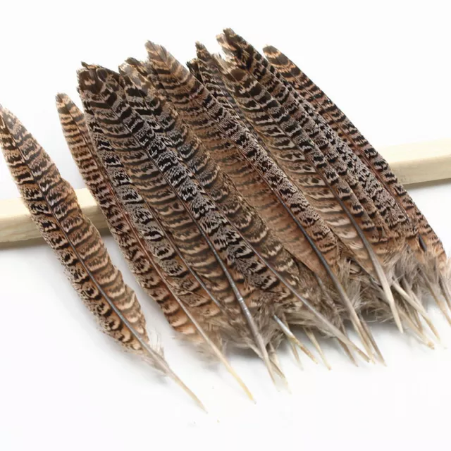 Wholesale natural pheasant tail feathers 4-14 inches/10-35cm 10-100pcs