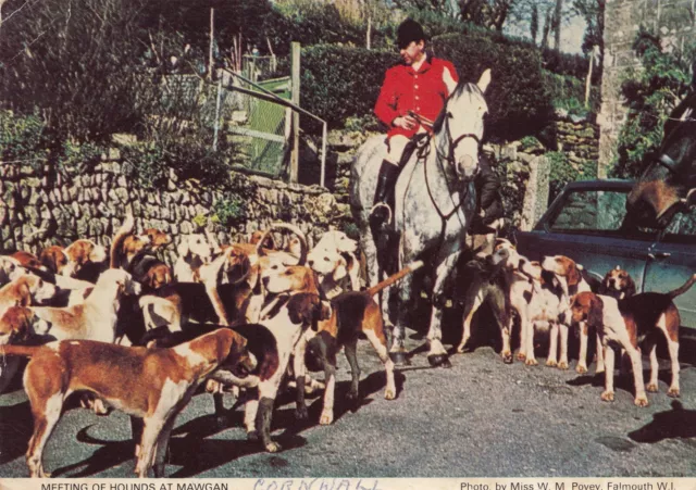 Bild Postkarte, Treffen Der Hunde In Mawgan, Cornwall - 1981