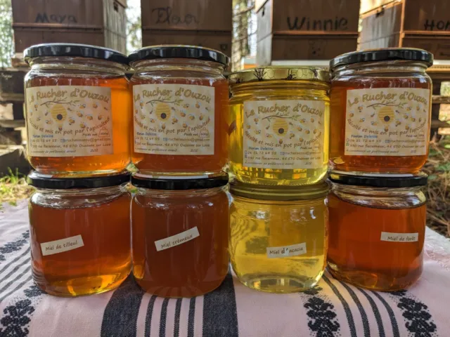 Les Ruchers du Luberon Bonbons au miel 220g - Miel Naturel pour la Gorge et  la Toux - Cadeau parfait pour les amateurs de miel