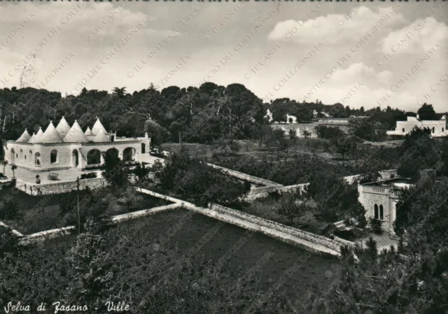 1950 SELVA DI FASANO Ville giardini panorama Brindisi Cartolina