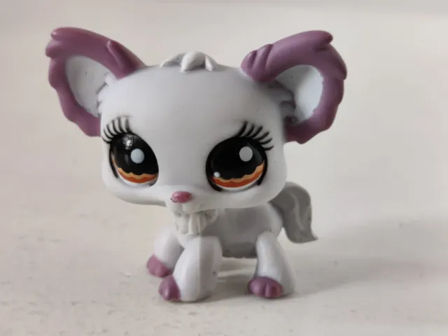 Hasbro LPS Littlest Pet Shop Lavender Chihuahua #1138 Authentic Free Shipping