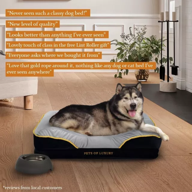 PETS OF LUXURY Memory Foam Dog Bed with Lint Remover - Washable Orthopedic Dog