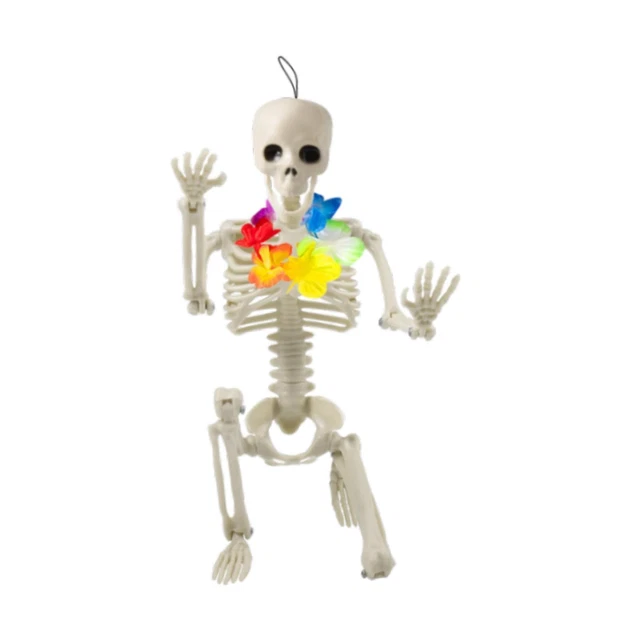 Squelette Humain XONOR 165 Cm - Articulations Mobiles, Décoration Halloween Réaliste