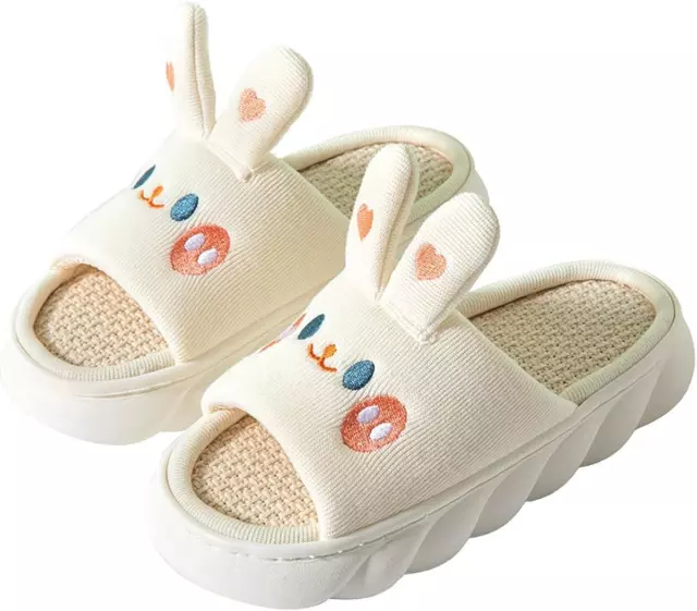 Gaolinci Cartoon Animal Shape Slippers, Womens Four Seasons Home Linen...