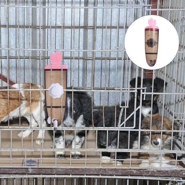 500 ml conejo botella de agua pozo para beber mascota único dispensador de agua