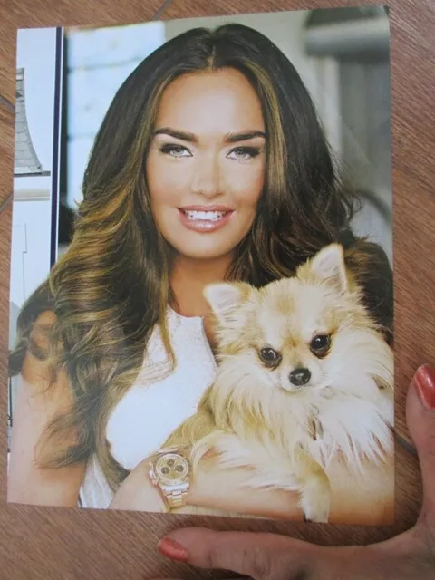 spitz pomeranian photo dog picture 7x9 inch waterproof fo scrapbook vet pet shop