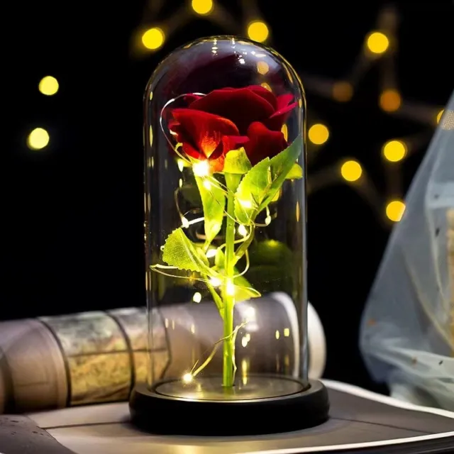 Preserved Flower Rose in Glass Dome Valentines Perfect Gifts for Her Him Love
